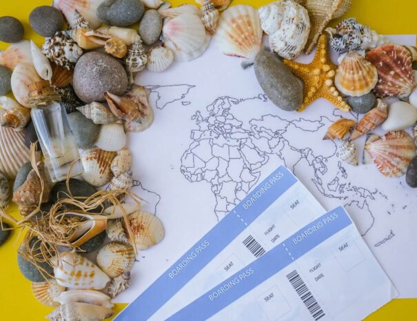 world-map-seashells-and-pebbles-boarding-pass-tr-2023-11-27-05-36-58-utc (1) (1)